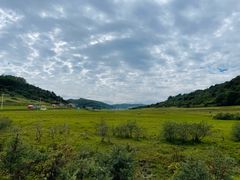 -关山草原