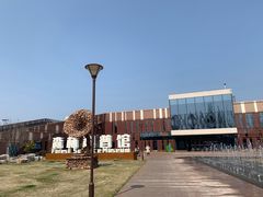 -黄海国家森林公园