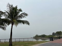 -深圳湾公园(南山区)