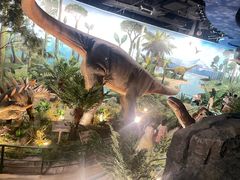 -陕西自然博物馆