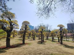 -西海子公园