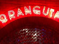 -Orangutan Bunker猩猩地堡酒吧(兰桂坊店)