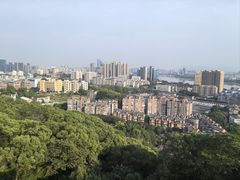 -福道