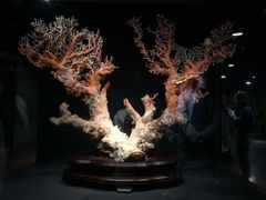 -台北故宫博物院