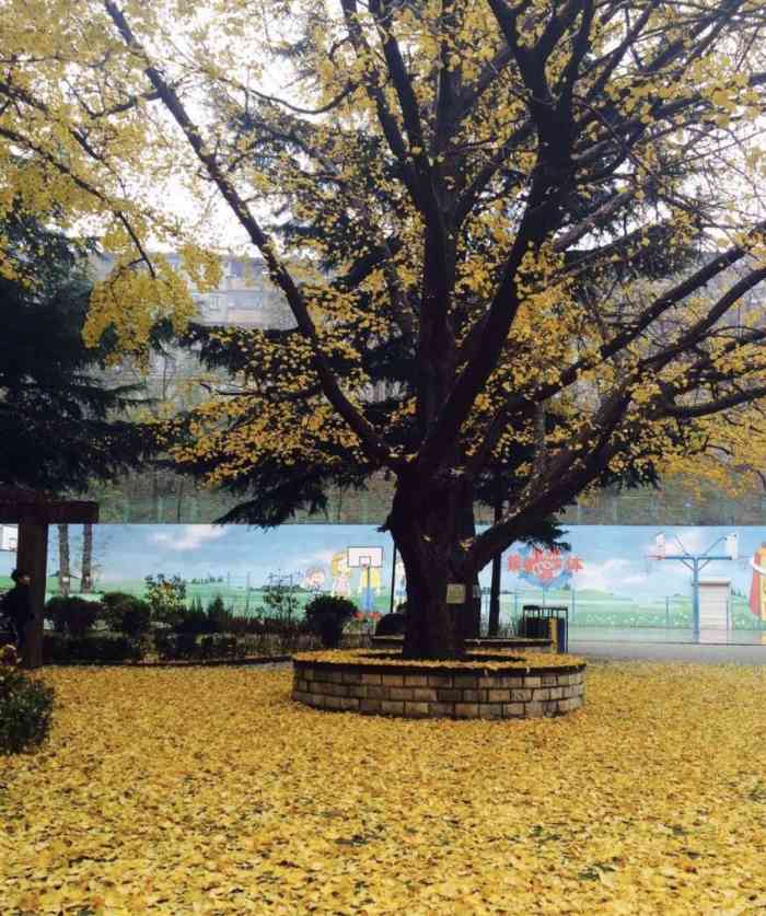 大连市中山区解放小学-"大连市中山区解放小学位于辽宁省大连市中山.