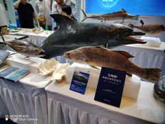 -三亚湾红树林国际会展中心(演出售票)