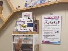-美联众合爱康动物医院•复杂内科•肿瘤科•牙科•腔镜诊疗中心