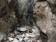 -黑河国家森林公园