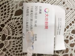 -大地影院(上海南汇店)