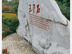 -铁山坪森林公园