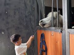 -骑乐马术(广州奥体优托邦中心)