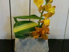 -花到家(富贵鸟花艺行)