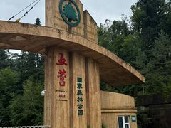 -五营红松林海景区