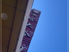 -西塔大冷面(市府大路店)