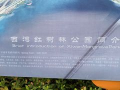 -宝安西湾红树林湿地公园