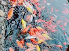 -成都动物园