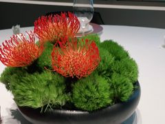 -柿合缘新京菜(国金中心商场店)