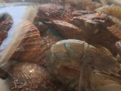 -港畔赶海蒸汽海鲜烧烤自助(仙螺岛店)