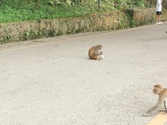 -黔灵山公园