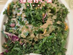 -油梨树AVOCADO TREE(望京店)