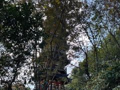 -上海佘山国家森林公园西佘山园