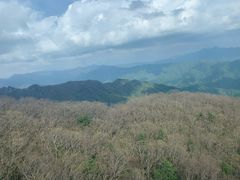 -牛背梁国家森林公园