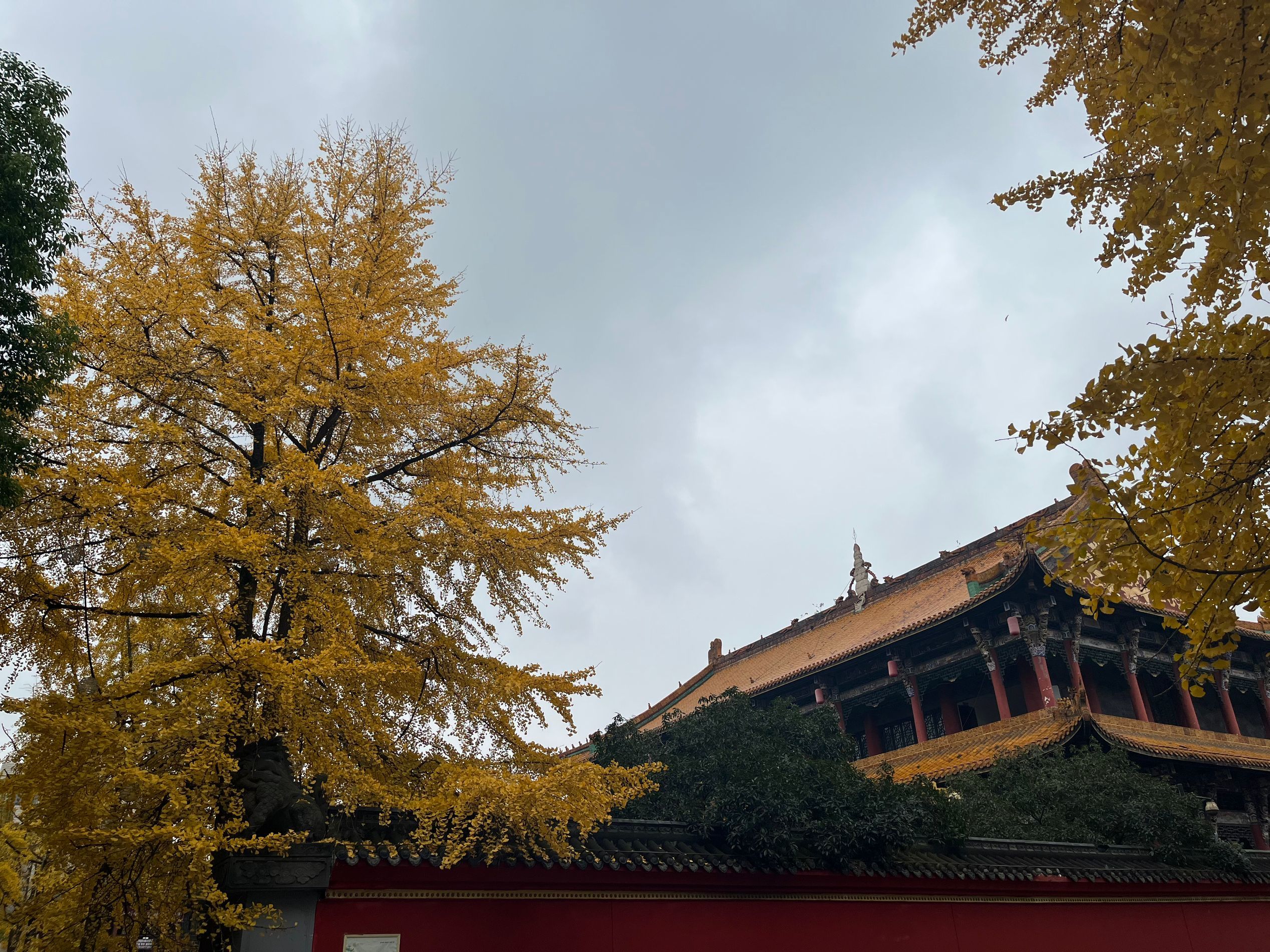 温江的文庙真美!