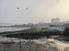 -黑石礁公园