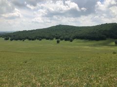 -塞罕坝国家级自然保护区