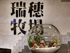 -瑞穗牧场