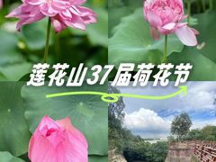 -广州莲花山旅游区