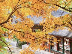 -颐和园