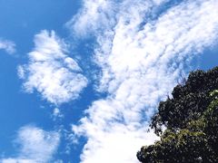 -普吉镇