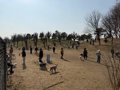 -小意思咖啡店(草桥店)