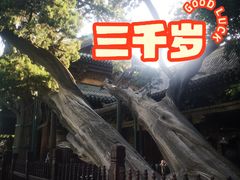 -晋祠博物馆