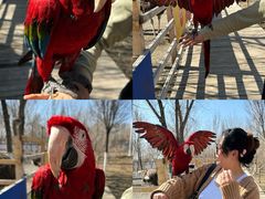 -水上乐园·欢乐世界