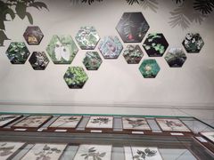 -四川大学博物馆