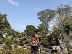 -东莞植物园