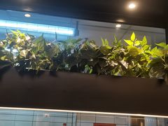 -摩欧客意式餐厅(高新活力汇店)