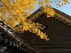 -沈阳市东陵公园