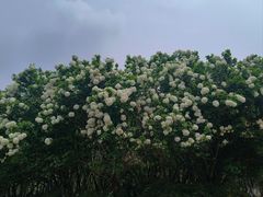 -宜兴龙背山森林公园