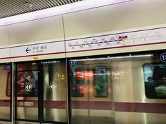 -望京西(地铁站)