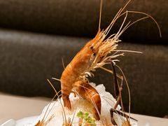 -荟廷·晶萃(陆家嘴尚悦湾店)