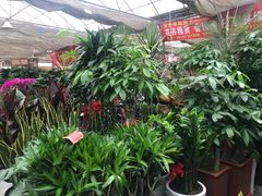 -秦美花卉(天朗·莱茵小城2期店)