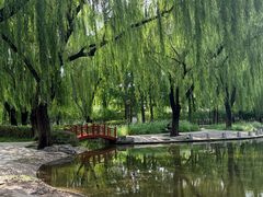 -玲珑塔公园