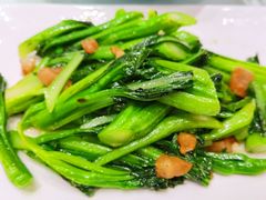生炒菜心-海宝酒家(中山四路店)