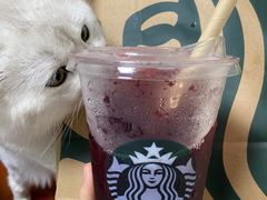 -星巴克(成都龙湖三千集店)