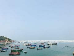 -枸杞岛