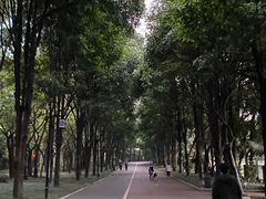 -南宁南湖公园