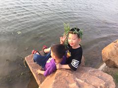 -丁香湖公园